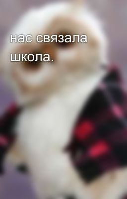 нас связала школа.