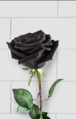 Мы обошлись без разбитых сердец.  