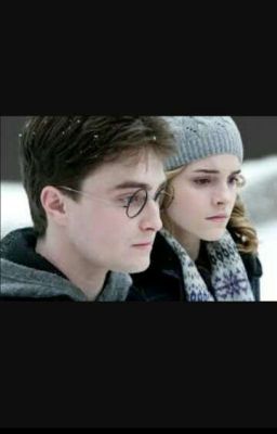 Гарри и Гермиона. Куда может привести ложь? Часть 2 - Становление...