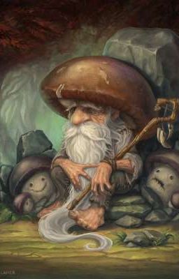 маленький гномик