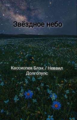 Звёздное небо 