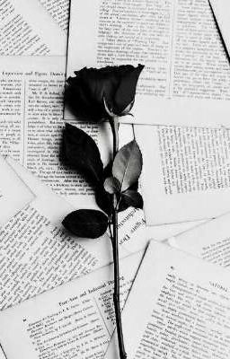 Вся жизнь в цитатах