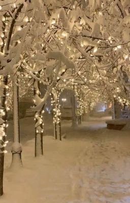 Слепец и его верная слуга