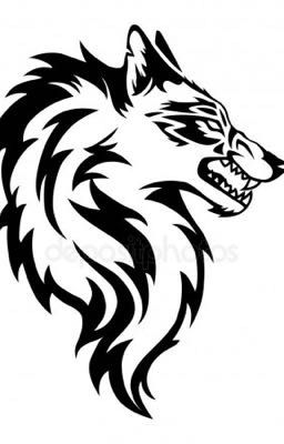 Начало истории Блэки