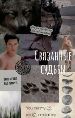 Связанные судьбы