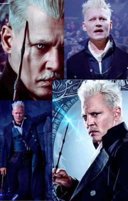 💙Дочь Геллерта гриндевальда💙