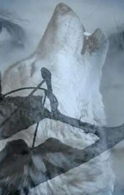 Я нашла тебя.