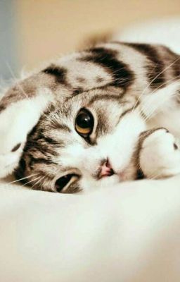 Мой сексуальный сводный брат. [Редактируется] 