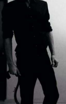 Поправочка-сводный брат