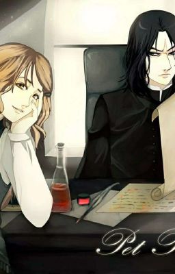 Не в этот раз