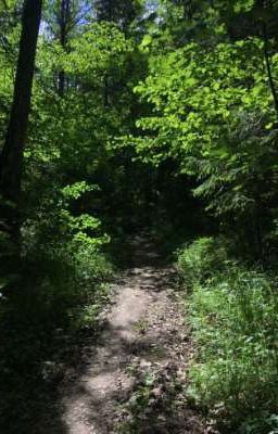 ·Я уже устала!· ЛаЙоши