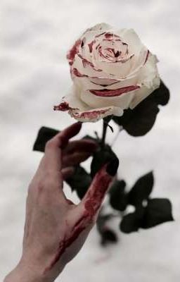 Цель: Свобода, судьба Соры