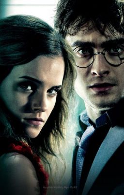 Гарри Поттер и враг сокола.