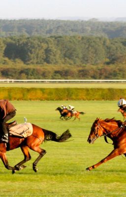 Мир его глазами 18+