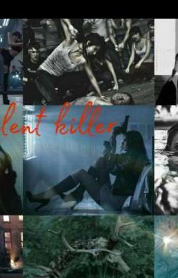 silent killer (бесшумный убийца)