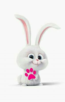 весёлая жизнь