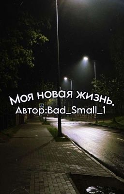 Моя новая жизнь. 