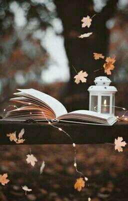 В Темноте...