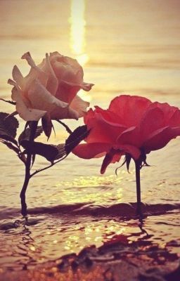 Вдох - Выдох