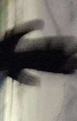 мой папочка Тима