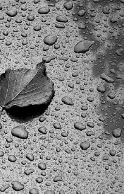 Я думала,слова - правда...