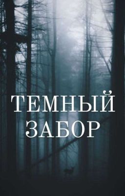 ТЕМНЫЙ ЗАБОР