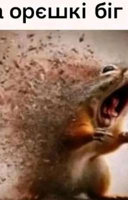 новая жизнь