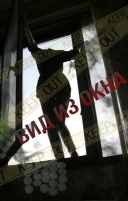 Вид из окна