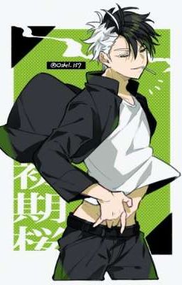 Цветущие ветви вишни.