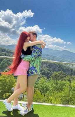 «Один тюльпан»