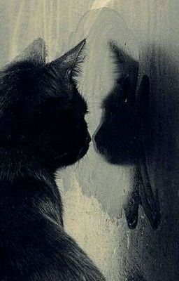 Глория в зазеркалье.