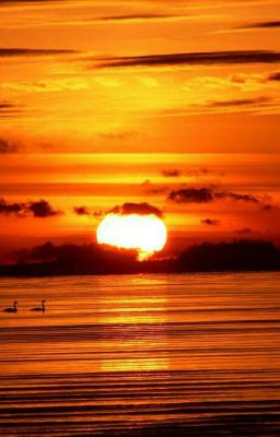 Мисс Паинька