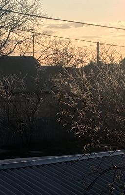 Люблю весну