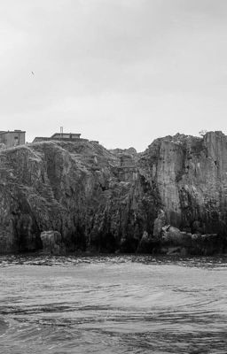 Шерлок. Девушка из шерринфорда