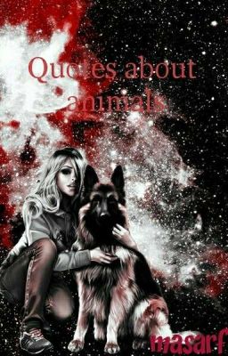 Цитаты про Животных