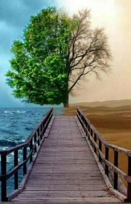 В чем смысл богатства...