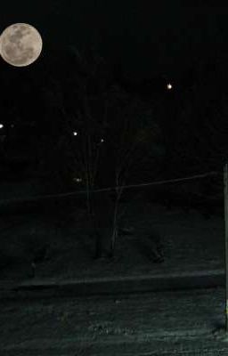 Судная ночь. Смогу ли я выжить?