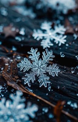 Холодный, вечерний Питер