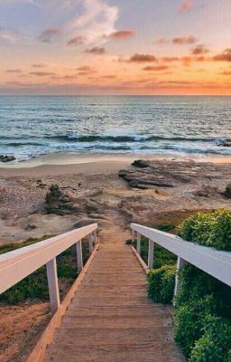 На Берегу Моря...