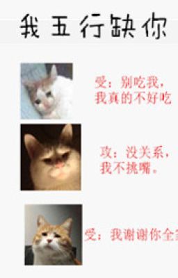 Я скучаю по тебе в пяти стихиях БЛ