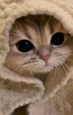 жертвуй собой ради других