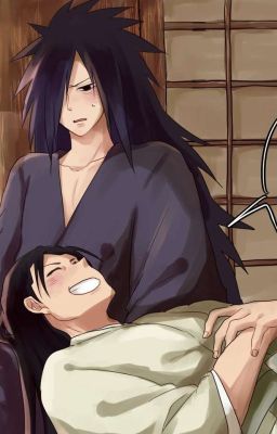 Что Хотел Hotel? 