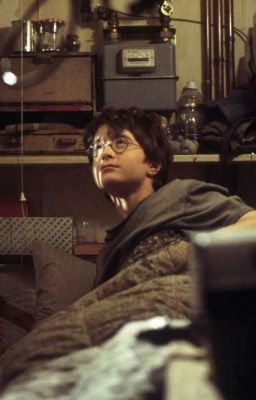 новая жизнь