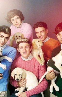 Я одна, а их пятеро...