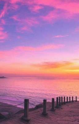 🔎Л И Т Е Р А Т У Р А🔍