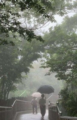 Дейл Карнеги
. Как вырабатывать уверенность в себе и влиять на людей. 