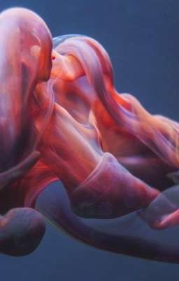 Безликие истории