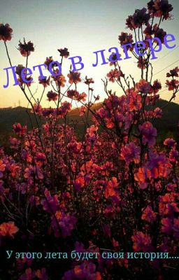 Лето в лагере(ЗАМОРОЖЕННО)