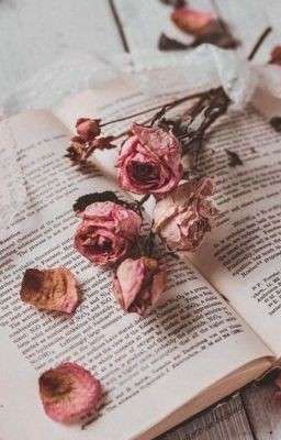 Любимый враг❤