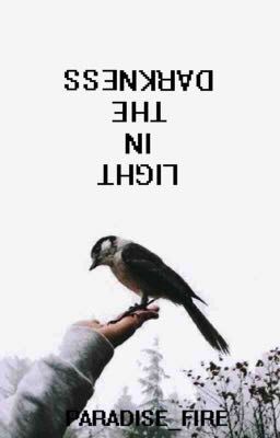 Свет во тьме